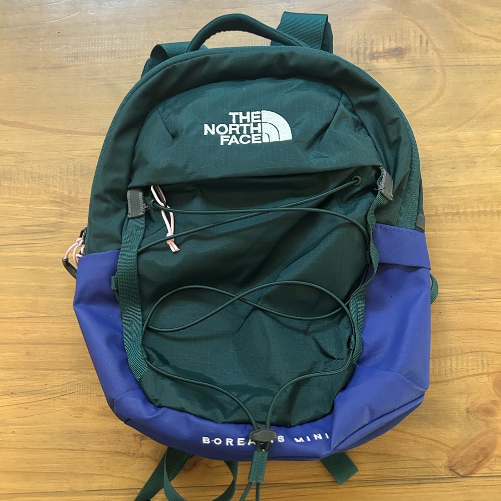 The North Face Dark Green and Blue Borealis Mini Backpack
